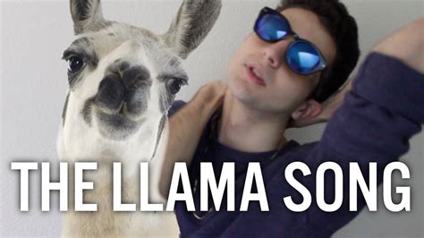 happy llama sad llama twaimz.